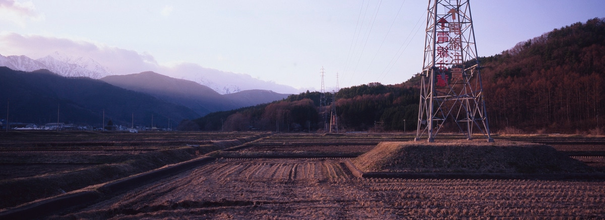 Rice fields of Omachi, Japan. Taken by Lucas Taylor on a Hasselblad XPan camera.