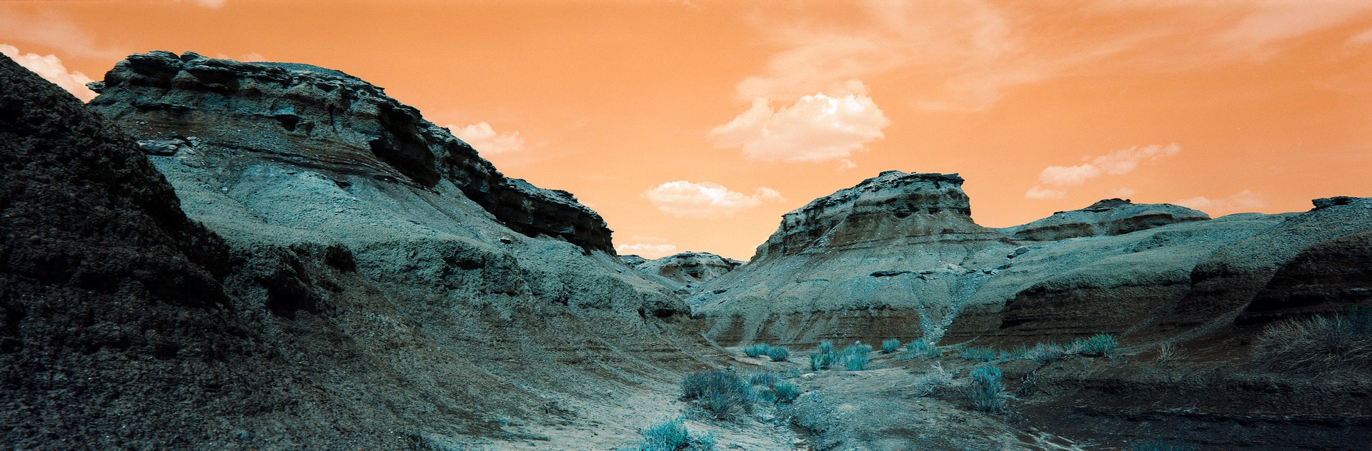 6x17 photograph taken in Bisti Badlands, New Mexico, USA. Taken by Lucas Taylor on the ND 6x17 camera.