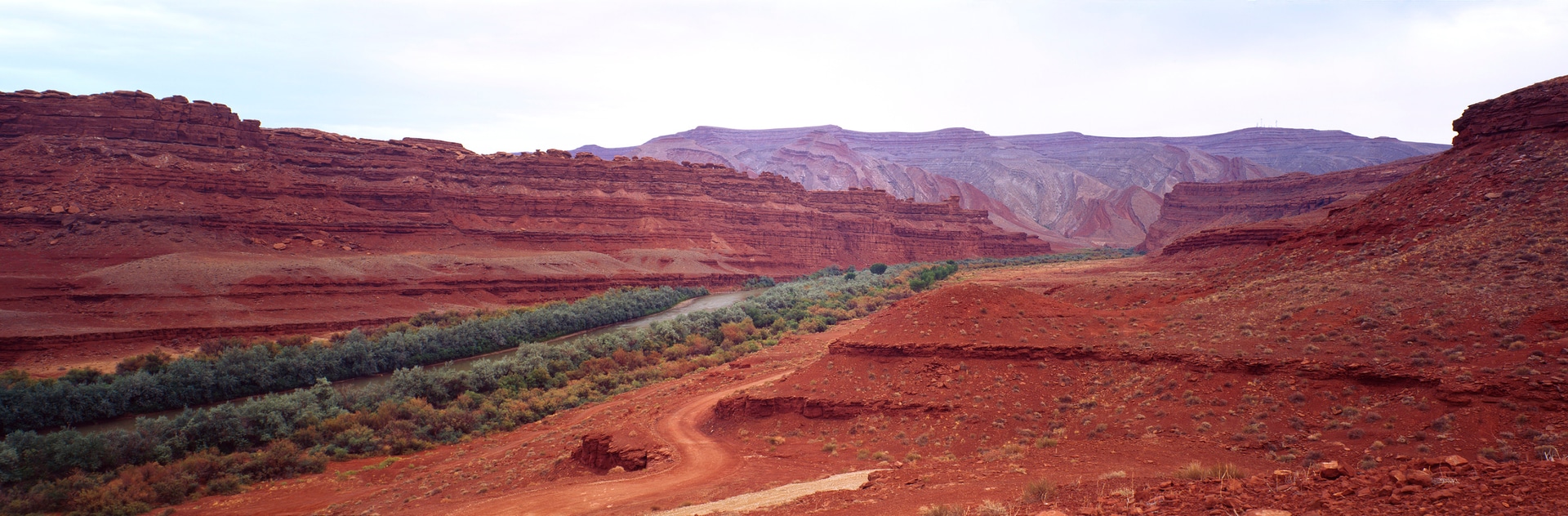 6x17 photograph taken in Mexican Hat, Utah, USA. Taken by Lucas Taylor on the ND 6x17 camera.
