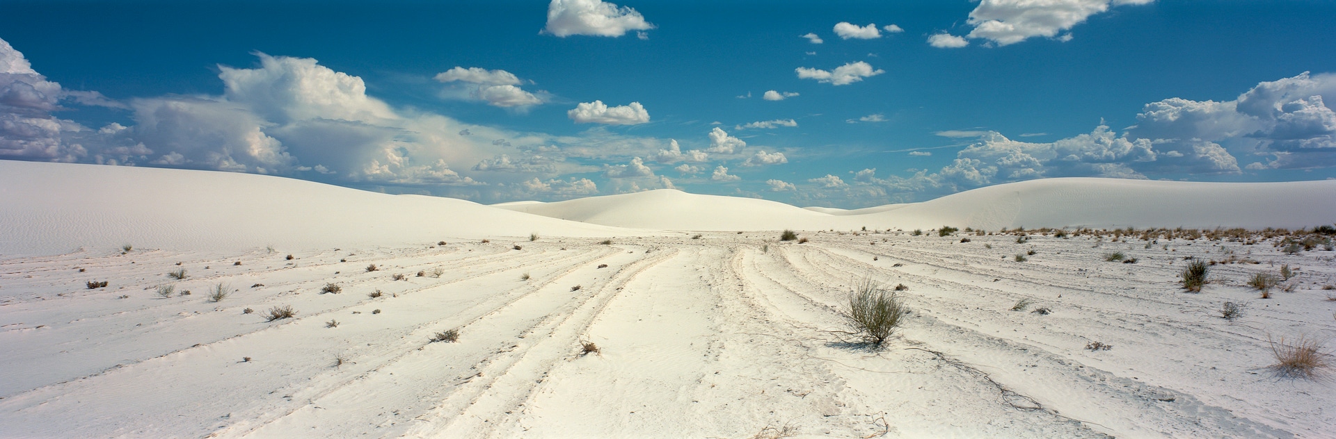 6x17 photograph taken at White Sands National Park in New Mexico, USA. Taken by Lucas Taylor on the ND 6x17 camera.