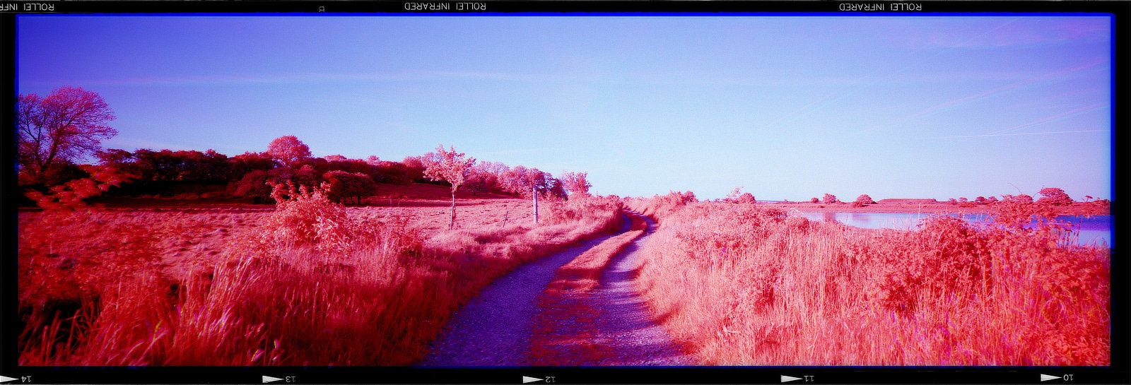 My second attempt at infrared trichroming on 6x17