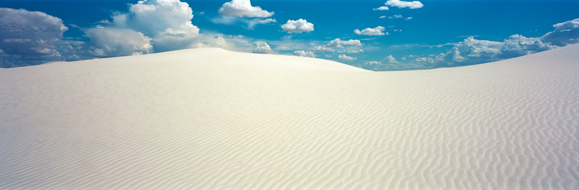 6x17 photograph taken at White Sands National Park in New Mexico, USA. Taken by Lucas Taylor on the ND 6x17 camera.